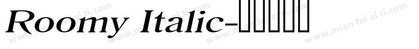 Roomy Italic字体转换
